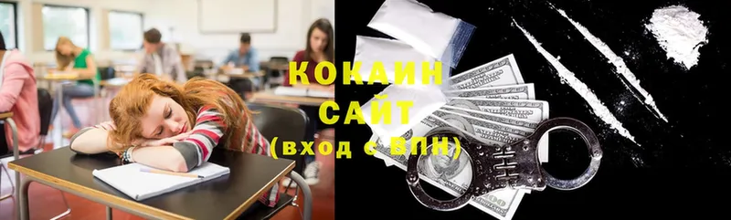 Cocaine Fish Scale  сколько стоит  Корсаков 